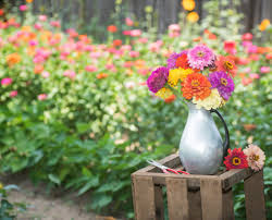 Easy mason jars meals for delicious lunch during the week! Espoma Best Wildflowers For Your Wedding Bouquet Espoma