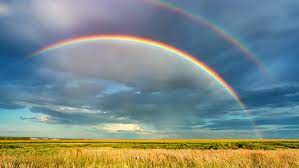 We think all of these rainbow. Explainer Rainbows Fogbows And Their Eerie Cousins Science News For Students