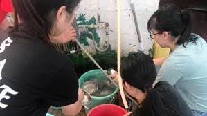 We did not find results for: Anima Macau Anima Colegio Santa Rosa De Lima English Secondary Visited Us