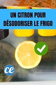 Des astuces pour nettoyer mon frigo. Mauvaises Odeurs Dans Le Frigo Utilisez Un Citron Pour Le Desodoriser
