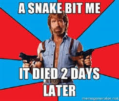 This fact is obviously the best. 50 Funny Chuck Norris Jokes And Memes 50 Best