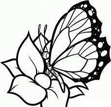 Keep your kids busy doing something fun and creative by printing out free coloring pages. Animales Para Colorear Pintar E Imprimir Butterfly Coloring Page Flower Coloring Pages Butterfly Drawing