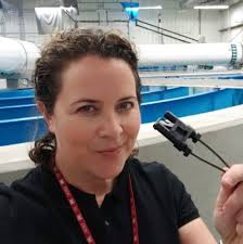 materials #engineer #engineering #geotechical #geotechnicalengineering  #mechanical #mechanicalengineering #military #weapons #weaponstesting  #civilengineering #science #innovation #technology…