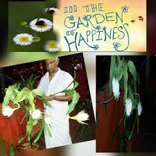 Pin By Antony Thoppil On Antony Paul Lab Coat Coat Antony