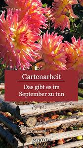 Gartenarbeit Im September In 2020 Gartenarbeit Garten Pflanzen