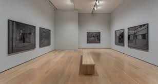 His paintings have obtained honorable mention and recognition from art interview magazine and have been exhibited and auctioned in the usa including the artprize and museum of coral springs. Daniel Joseph Martinez Hammer Museum