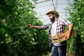 Rolnik podejmujący pracę na podstawie umowy zlecenie 2025 r.