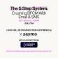 The 5 Step System: Crushing BFCM With Email & SMS event image