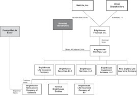 Insurance Company Organizational Chart Johnson Candy Company