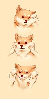 Takayuki The Shiba Inu Cute Drawings Cute Animals Shiba Inu