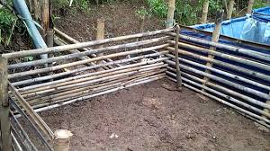 Bikin Kolam Lele Dari Bambu Youtube