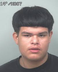 ULISES HERRERA-ARAUJO