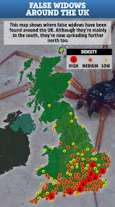 Can you survive a black widow? How Weird Weather Is Fuelling Explosion Of Venomous False Widow Spiders Whose Bites Are Crippling Brits Find Out If Your Area Is At Risk