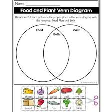 Food And Plant Venn Diagram Worksheet Venn Diagram Worksheet Venn Diagram Venn Diagram Activities