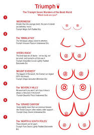 Breast Size Boob Chart - Cumception