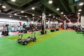 The person in question was a gym member from fitness first. Dubai Festival City Mixed Gym In Dubai Fitness First Uae