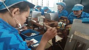 05 mar program breasiswa djarum plus. Tag Perusahaan Rokok 2021 Tarif Cukai Rokok Naik Hm Sampoerna Berharap Pemerintah Lindungi Segmen Sigaret Kretek Sriwijaya Post