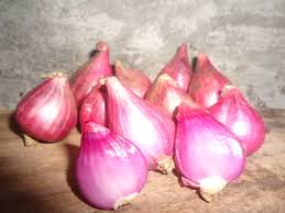 Khusus obat demam dewasa atau obat demam anak dengan resep dokter, biasanya akan diresepkan antibiotik, terutama jika dicurigai ada infeksi bakteri. Cara Cepat Turunkan Panas Pada Anak Beritatransparansi Co Id