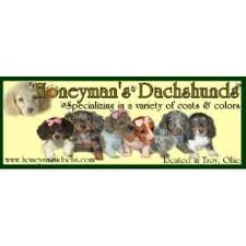 Please check out and give $10 if you can. Honeyman S Dachshund S Dachshund Breeder In Troy Ohio Dachshund Breeders Dog Breeder Dachshund