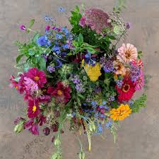 Maybe you would like to learn more about one of these? Organic Flowers Wild Hope Farm