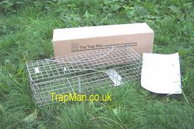 The end that will be pointing up gets the holes. Squirrel Trap From 13 99 Trap Man Squirrel Trap Humane Squirrel Trap Approved Live Catch Squirrel Trap Large Squirrel Trap To Catch All The Grey Squirrel Without Harming The Squirrel No Trapped Squirrel
