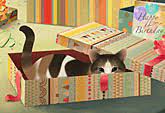Maybe you would like to learn more about one of these? Birthday Ecards Animated Birthday Cards Jacquie Lawson