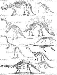 Dinosaur Skeleton Collage Sheet Vintage Digital Image Etsy Dinosaur Tattoos Dinosaur Skeleton Dinosaur Art