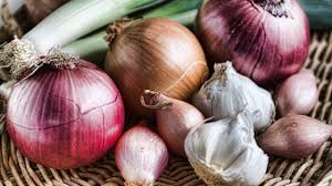 Cats love rich and flavorful tastes, especially if their owners are enjoying eating that food. Can Dogs Eat Onions Healthy Paws