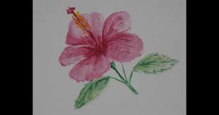 1.kertas manila 2.pensil warna 3.pensil b8. Cara Mewarnai Gambar Bunga Dengan Pensil Warna Gambar Mewarnai Bunga