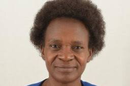 African Studies Brown Bag Lecture