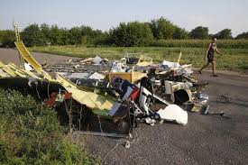 Mh17 crash trial seeks 'clarity' for victims' kin. Mh17 Crash Site Reuters Com