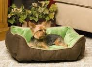 We did not find results for: Self Warming Pet Beds Self Warming Dog Beds Cozywinters