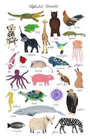 Alphabet Animals Animal Posters Animal Illustration Animal Drawings