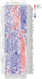 Image result for bioinformatics heatmap