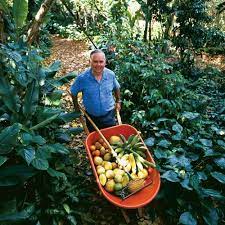 Maybe you would like to learn more about one of these? Growing A Juicy Fruit Forest Finegardening Fruit Forest Fruit Tree Garden Juicy Fruit