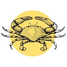 Ready to go crabbing everyday? How To Throw The Perfect Crab Feast Baltimore Magazine