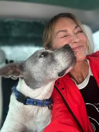 DaisyLu Ranch a Senior Dog Sanctuary