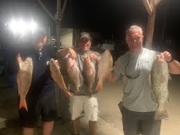 Lyndon Carter (@angeldancerfisheries) • Instagram photos and videos