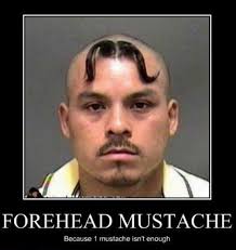 Motivational Thechive Funny Mugshots Mustache Funny Pictures
