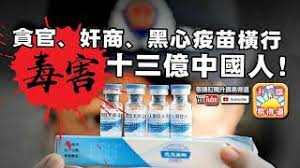 Image result for 中國假疫苗 亡國