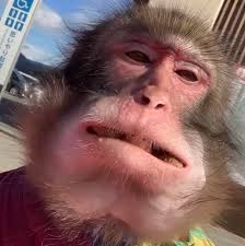 Suele pasar... Llegando tarde Viendo el descuento en la nómina