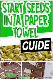Green Thumb Gardener In 2020 Starting Seeds Indoors Germinating Seeds Indoors Planting Seeds Indoors