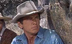 THE MAGNIFICENT SEVEN