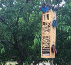 Check spelling or type a new query. Are You A Wanna Bee Build A Solitary Bee House