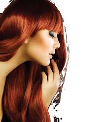 May 2024 by novaliving