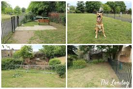 Check spelling or type a new query. South London Fully Enclosed Dog Parks The Ultimate Guide The Londog