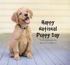 According to the contemporary survey, the most typical home animals are dogs, cats or birds. National Puppy Day 2016 Tara Lynn Co Photo