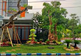 Langkah kedua adalah mengecat kardus. 10 Langkah Langkah Membuat Taman Tukang Taman Surabaya Jasa Taman Surabaya