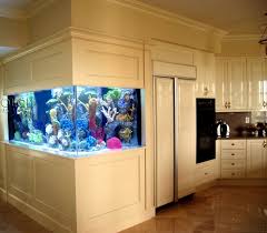 This is my 40 lt wall aquarium. 100 Ideas Integrate Aquarium Designs In The Wall Or In The Living Room Interior Design Ideas Ofdesign