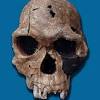 Fossils are the stone remains of animals or plants that were once alive. Https Encrypted Tbn0 Gstatic Com Images Q Tbn And9gcr62gdmsrjhdjfcrcarcxu2kbhbf4nyhpabm B3qxwo7fqagk K Usqp Cau